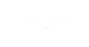 MES Sky Mapper Logo