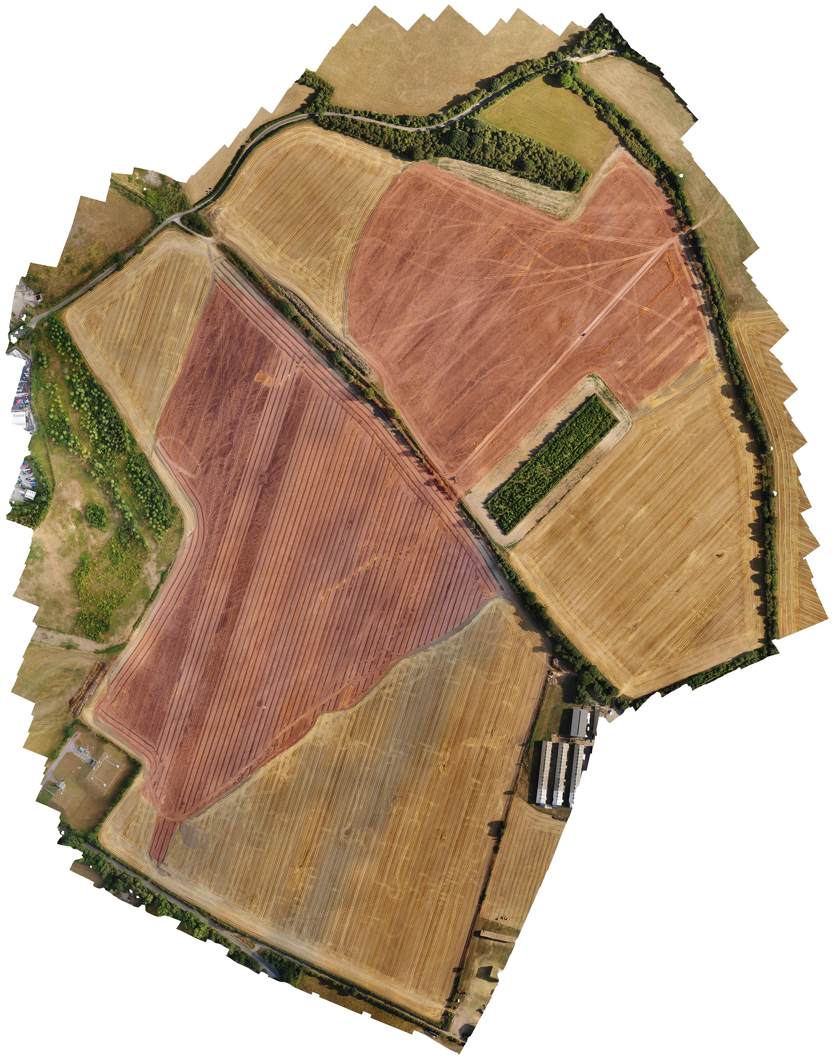 Agricultural Surveys